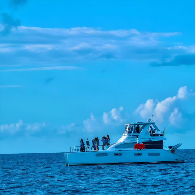 PARTY BOAT CATAMARAN - Image 4